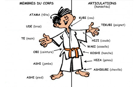 Les parties du corps en Japonais